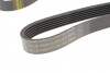 Ремінь генератора BMW X5/ Ford Focus 1.4-1.6 16V 98-/ Chevrolet Evanda/ Rezzo 2.0 05- (6PK1 (opt-om) BLUE PRINT AD06R1892 (фото 4)