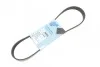 Ремінь генератора Citroen Berlingo/Peugeot Partner 1.6HDI/ Ford Fiesta/ Focus 1.4-1.6 TDCi 01- UA63 BLUE PRINT AD06R805 (фото 1)