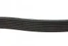 Ремінь генератора Toyota Camry 3.5 V6 11-17/ Lexus GS/ IS/ ES 2.5-3.5 05- UA63 BLUE PRINT AD07R1550 (фото 2)