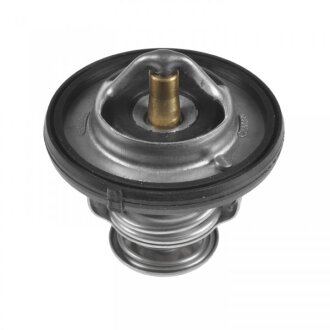 Термостат BLUE PRINT ADA109213