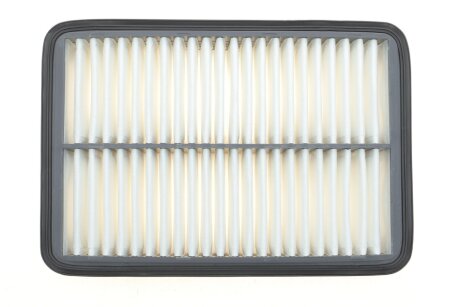 Фільтр повітряний Hyundai Santa Fe I -06 C.I.U BLUE PRINT ADG02232