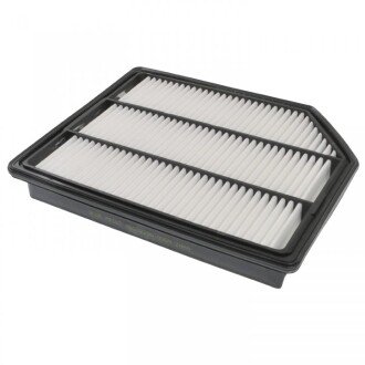 Фільтр повітряний Hyundai ix55 3.8 V6 11- (opt-om) BLUE PRINT ADG02290