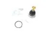 Опора кульова (передня/зверху) Nissan Navara/Pick Up 2.5dCi/D 97- (opt-om) BLUE PRINT ADN186126 (фото 1)