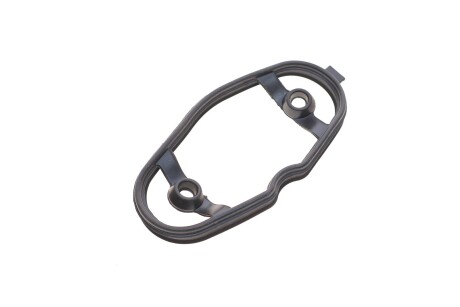 Прокладка насоса паливного 3 (F30/F31/F34/F35)/5 (F10/F11)/X5 (F15/F85) 09- N20/N63/N26 UA63 BMW 11127588416