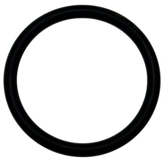 Ущільнювач термостату О-поді BMW 11518613804