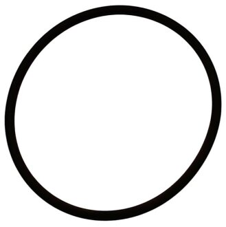 Кільце кр.38X2 BMW 11717794785