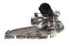 BORGWARNER BorgWarner 1000 988 0113 (фото 1)