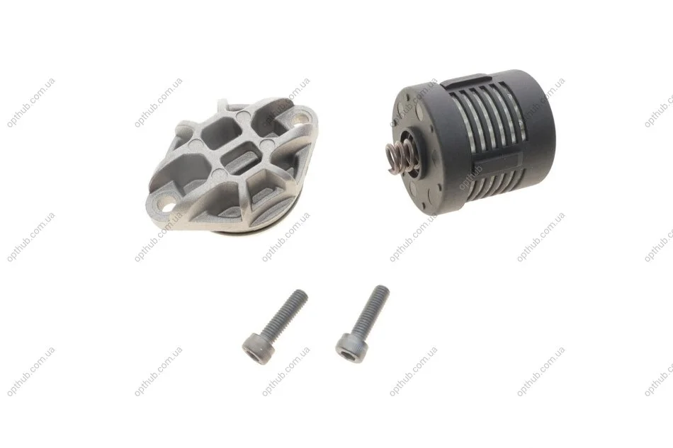 Ремкомплект масляного фільтра муфти диференціалу BORGWARNER BorgWarner DS120356 (фото 1)