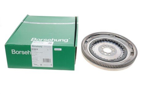 Демпфер зчеплення VW Caddy IV 1.4TSI 14-, 92kw, DSG7-0AM/0CW (DQ200) (opt-om) Borsehung B10919