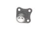 Опора шаровая (передняя/снизу)/L) Audi A3/VW Golf IV 1.6/1.9TDI 97-06 BORSEHUNG UA63 Borsehung B11336 (фото 3)