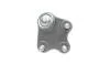 Опора шаровая (передняя/снизу)/R) VW Polo/Skoda Fabia 1.0-2.0 99- BORSEHUNG UA63 Borsehung B11339 (фото 2)