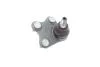 Опора шаровая (передняя/снизу)/R) VW Polo/Skoda Fabia 1.0-2.0 99- BORSEHUNG UA63 Borsehung B11339 (фото 4)