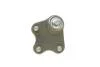Опора кульова (передня/знизу/L) VW Polo/Skoda Fabia 1.0-2.0 99- BORSEHUNG UA63 Borsehung B11340 (фото 5)
