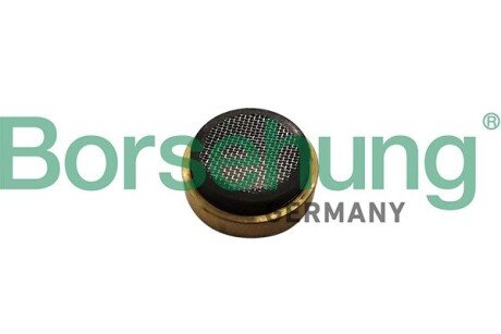 Фільтр оливоприймача VW T5/T6 2.0 TSi 10-19 (OE VAG) UA63 Borsehung B11897