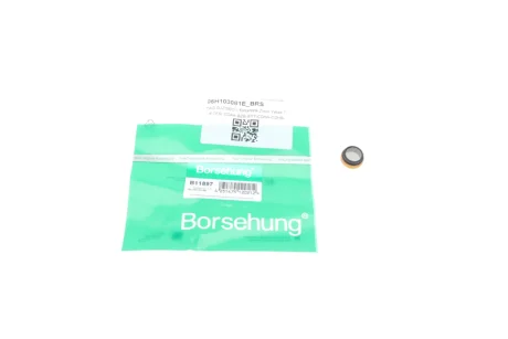 Фільтр оливоприймача VW T5/T6 2.0 TSi 10-19 (OE VAG) BORSEHUNG UA63 Borsehung B11897