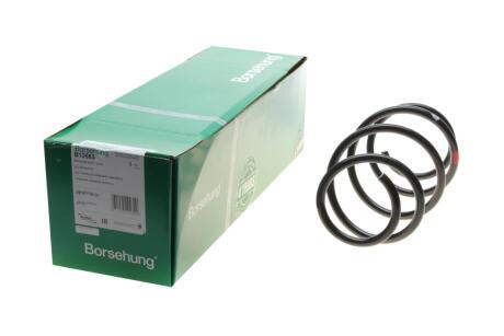 Пружина підвіски Borsehung B12563