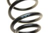 Пружина подвески Borsehung B12566 (фото 2)