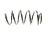 Пружина (передня) VW Caddy 04-/Passat 05-14 (OE VAG) BORSEHUNG UA63 Borsehung B12623 (фото 4)