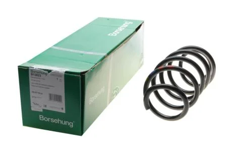 Пружина (передня) VW Caddy 04-/Passat 05-14 (OE VAG) BORSEHUNG UA63 Borsehung B12623