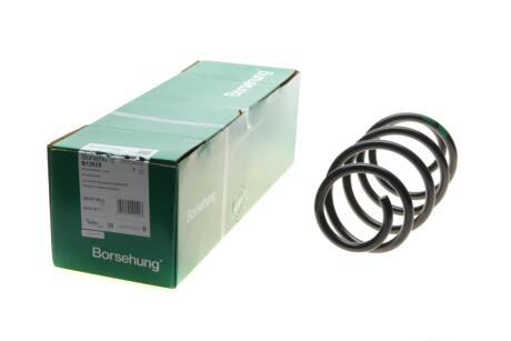 Пружина (передня) VW Touran 1.6TDI/2.0TDI 10-15 (OE VAG) UA63 Borsehung B12625