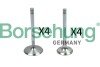 Клапан ГРМ Borsehung B18148 (фото 1)