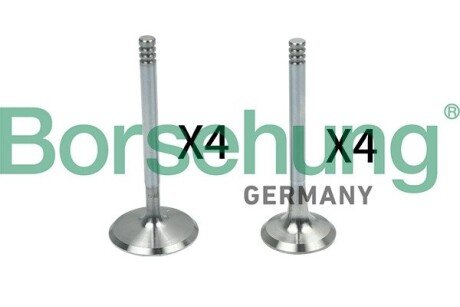 Клапан ГРМ Borsehung B18148