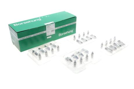 Коромисло клапана + гідрокомпенсатор VW Passat 1.4 TSI/1.6 FSi 10-14 (к-кт 16шт) (OE VAG) UA63 Borsehung B18205