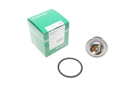 Термостат Borsehung B18259