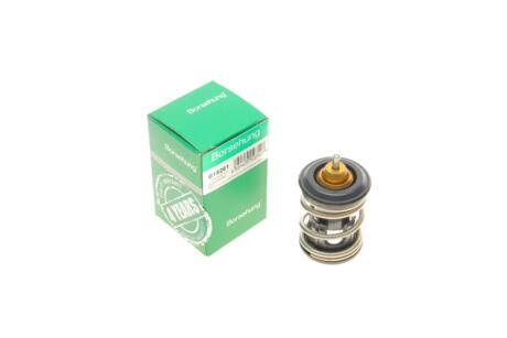 Клапан системи охолодження Borsehung B18261