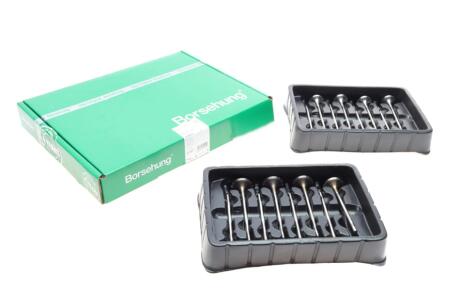Клапани комплект 8*8 (04L109601H+04L109611) Borsehung B18633
