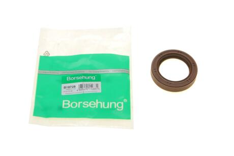 Сальник розподільчого валу Borsehung B18729