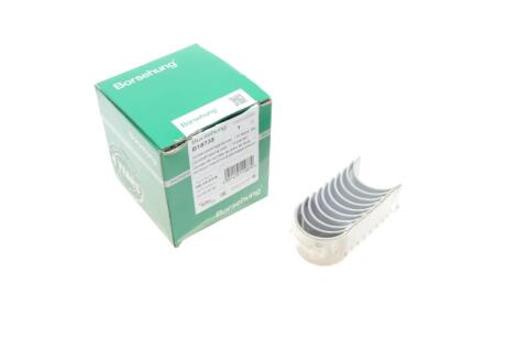 Вкладиші розподільного валу VW T5 1.9/2.5TDI 03-09 (STD) (к-кт 10 шт.) (OE VAG) (opt-om) Borsehung B18735