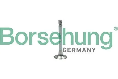 Клапан випускний BORSEHUNG Borsehung B18999