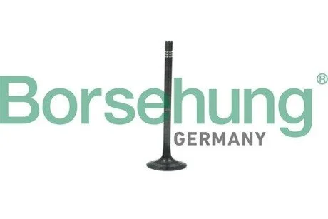 Клапан випускний BORSEHUNG Borsehung B19006