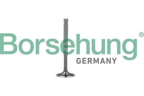 Клапан випускний BORSEHUNG Borsehung B19010