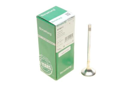 Клапан (випуск) Audi A4/A6/VW Golf V/VII 1.8TSI-4.2FSI 02- (OE VAG) UA63 Borsehung B19011