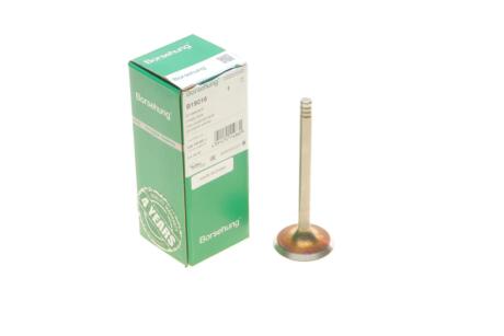 Клапан (впуск) VW Caddy 1.9SDI 95-04 UA63 Borsehung B19016