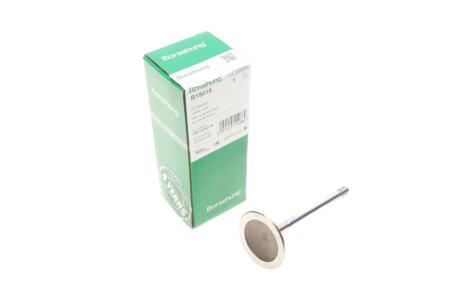 Клапан (впуск) VW Caddy/T4/T5 2.0 87- (OE VAG) UA63 Borsehung B19018