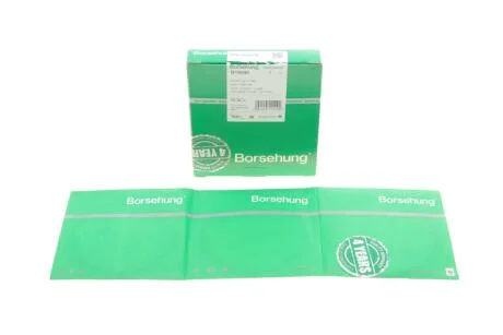 Кильця поршневи VW T4/T5 1.9TDI (79.50mm/STD) (1.75-2-3) (OE VAG) BORSEHUNG UA63 Borsehung B19040
