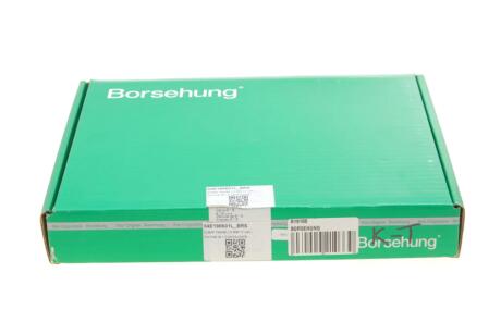 Клапан (впуск/випуск) VW Caddy IV/Golf VI/Touran 1.2TSI 15- (12 к-кт) (OE VAG) (opt-om) Borsehung B19160