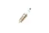 Свеча зажигания HR8DPP15V PLATINUM (FORD) (пр-во) BOSCH 0 242 229 652 (фото 3)