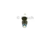 Паливний інжектор NISSAN JUKE, PULSAR, QASHQAI II, X-TRAIL III RENAULT ESPACE V, KADJAR, MEGANE IV, TALISMAN 1.6 06.10- BOSCH 0261500210 (фото 1)