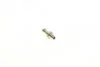 Электробензонасос FORD (пр-во Bosch) BOSCH 0 580 254 911 (фото 8)