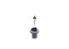 Лампа розжарювання 12V 27W H27W/1 PURE LIGHT (вир-во Bosch) BOSCH 1 987 302 024 (фото 4)