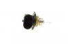 Лампа розжарювання HIR2 12V 55W PX22D (вир-во Bosch) BOSCH 1 987 302 026 (фото 3)