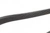 Ремінь генератора Mitsubishi ASX/Lancer 1.8 DI-D 10- (6PK1488) (opt-om) BOSCH 1 987 945 703 (фото 3)