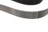 Ремінь генератора BMW 5 (F10/F11)/X3 (F25) 2.5/3.0i 09-13 (N52/N53) (8PK1786) (opt-om) BOSCH 1 987 945 705 (фото 2)