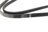 Ремінь генератора Ford Galaxy/Mondeo 2.0 EcoBoost 14- (4PK1366) (opt-om) BOSCH 1 987 945 718 (фото 2)