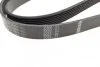 Ремінь генератора Subaru Forester/Legacy/Outback 2.0D 09- (7PK1845) (opt-om) BOSCH 1 987 945 720 (фото 3)