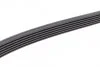 Ремінь генератора BMW 3 (E90) 3.2D 07-11 (6PK1780) N47 D20 UA63 BOSCH 1 987 945 733 (фото 4)
